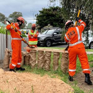 Sand bags